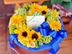 SU-07���֥��ȥ�뎥�ǥơ�