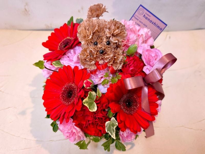 MO-01���֥ϥ�✿�ס��ɥ��