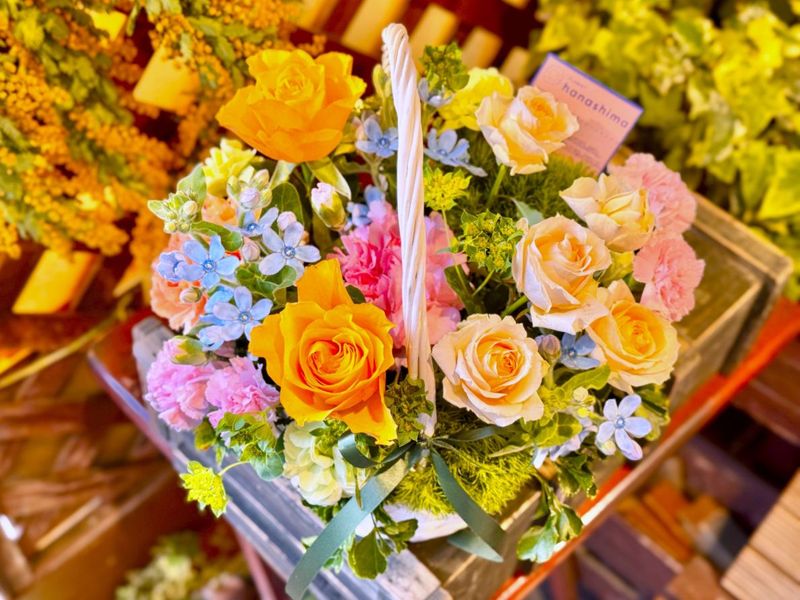 MO-02���֥ѥ��ƥ� �ϥ���