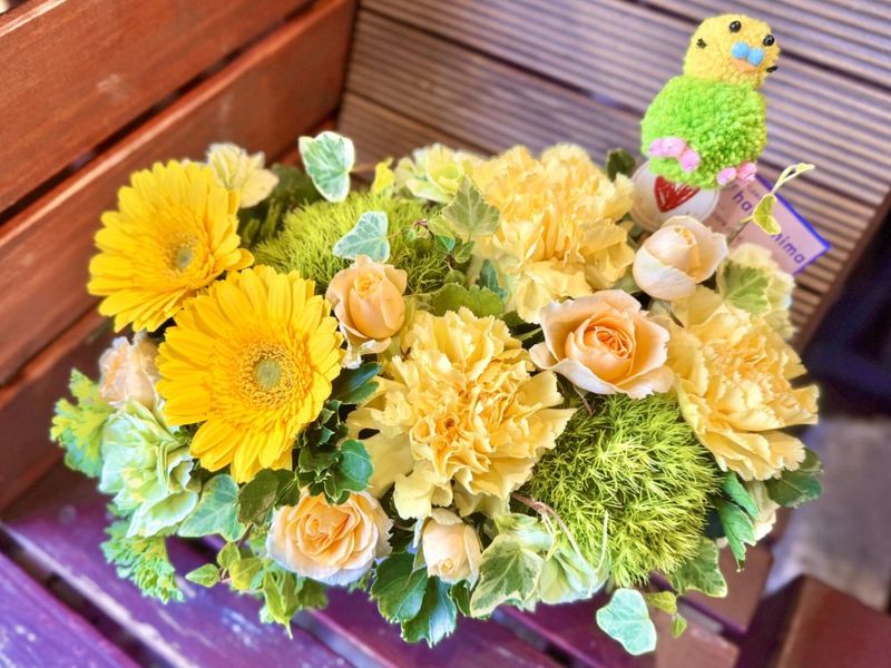 MO-04���֥ϥåԡ��С��ǥ����֥��å���� 