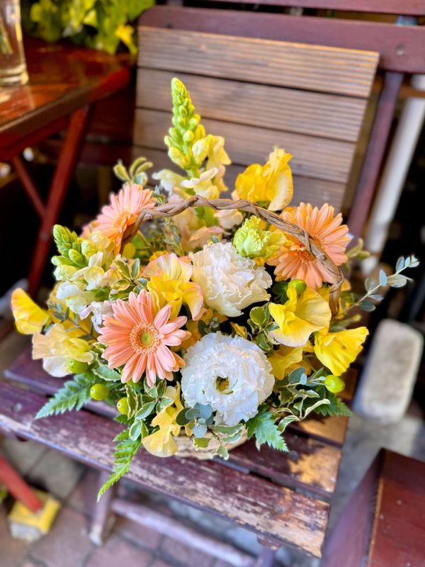 SP-05���֥��ˡ������ǥ��