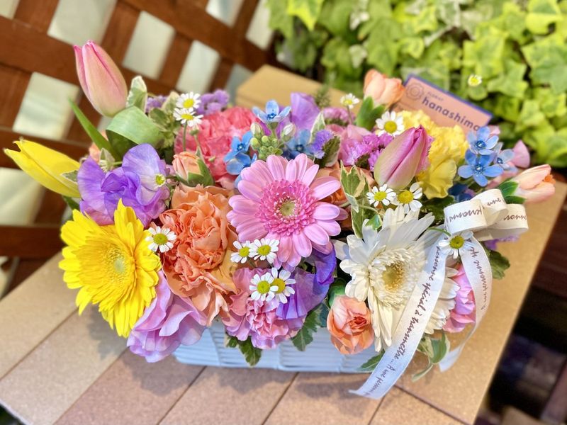 SP-08���֥���ե�ѥ�åȡ�