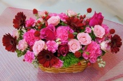 A-40���֥ޥ�����ԥ󥭡����Х����åȡ�