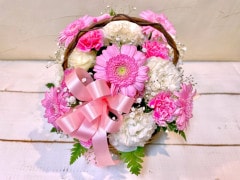 A-42���֥ԥ󥯡���ܤ��