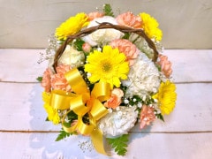 A-43���֥���������ܤ��