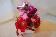 BL-08���֥�åɥ��������Х롼���