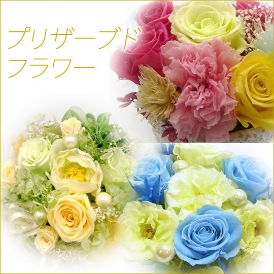 プリザーブドフラワー 16000円 | プリザーブドフラワー | 【花助】祝花
