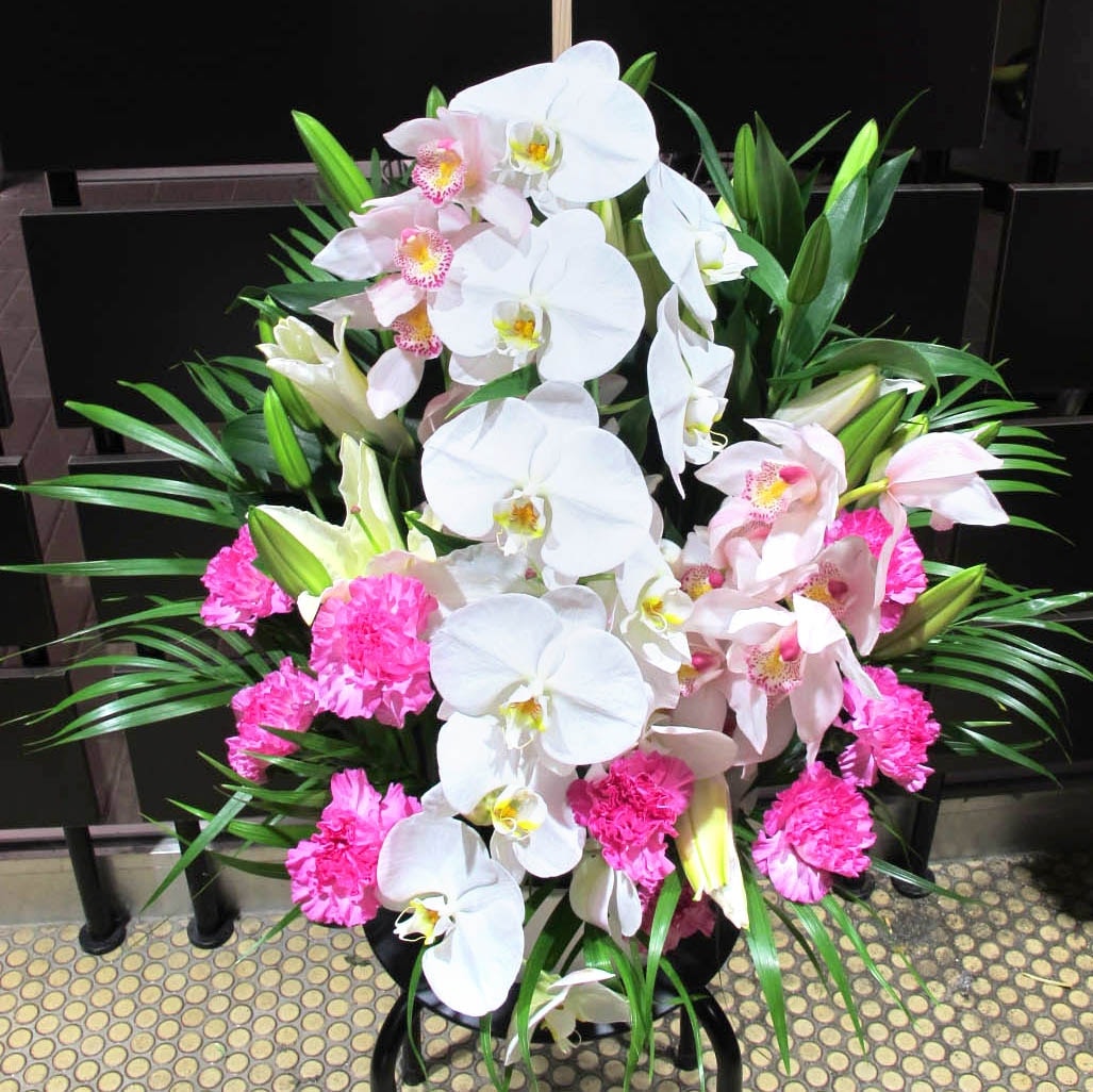 胡蝶蘭入りアレンジメント花 20000円 | すべての商品 | 【花助】祝花