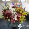 胡蝶蘭入りアレンジメント花　30000円|お祝い - アレンジメント