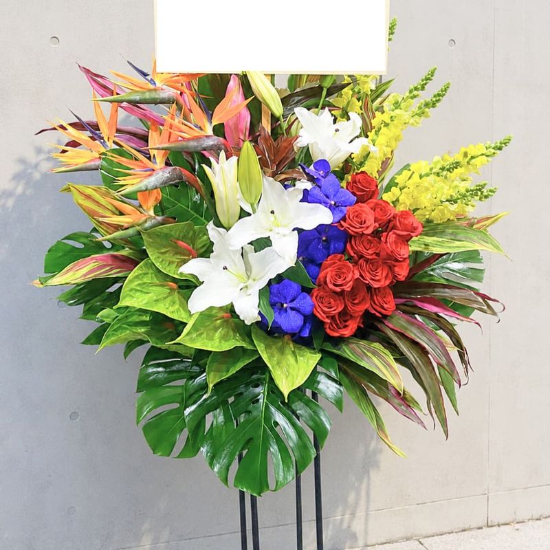 商品サムネイル: 【モンステラ入り】お祝いスタンド花1段　30000円