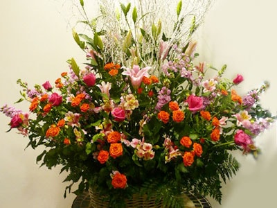 お祝いアレンジメント花 35000円 | すべての商品 | 【花助】祝花・厳選