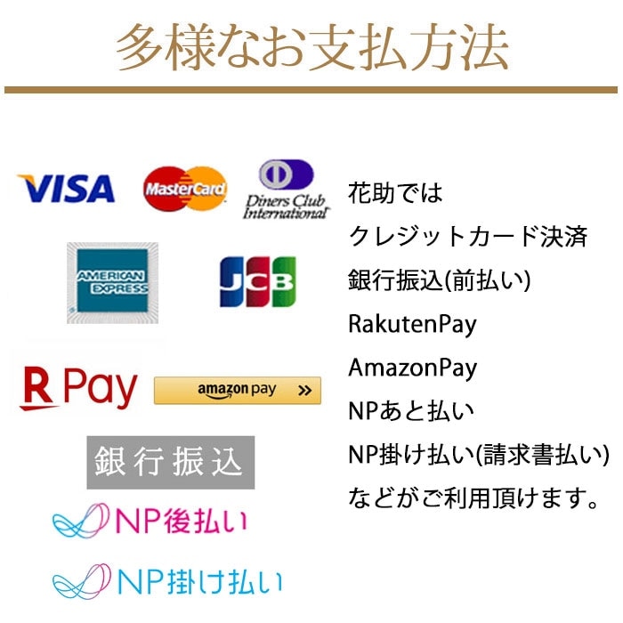 ＊*~空花~*＊　プリマビスタ　まとめ　お買い得　上四個のみ 空花~*＊様専用 プリマビスタ まとめ お買い得 上四個のみ
