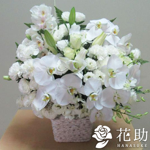 胡蝶蘭入りアレンジメント花 15000円 | すべての商品 | 【花助】祝花