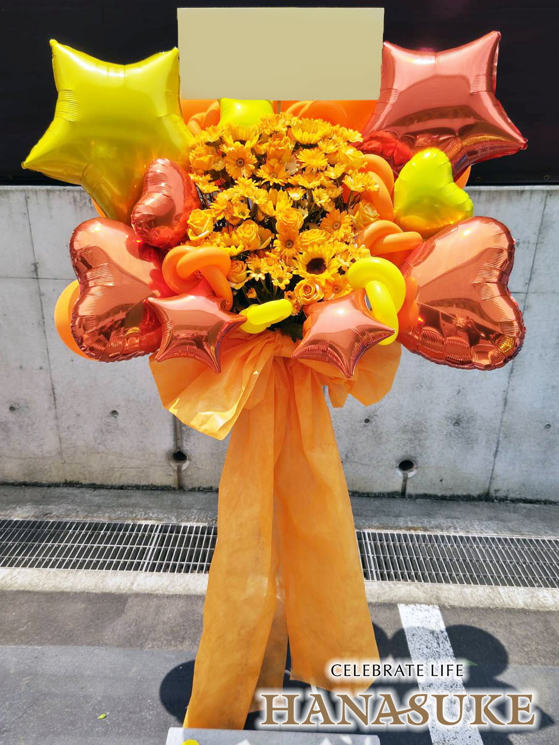 決算創業祭 お買い得 サイカスカイルンシアナ ドワーフ 過去最安 決算創業祭 お買い得 サイカスカイルンシアナ ドワーフ 過去最安 決算