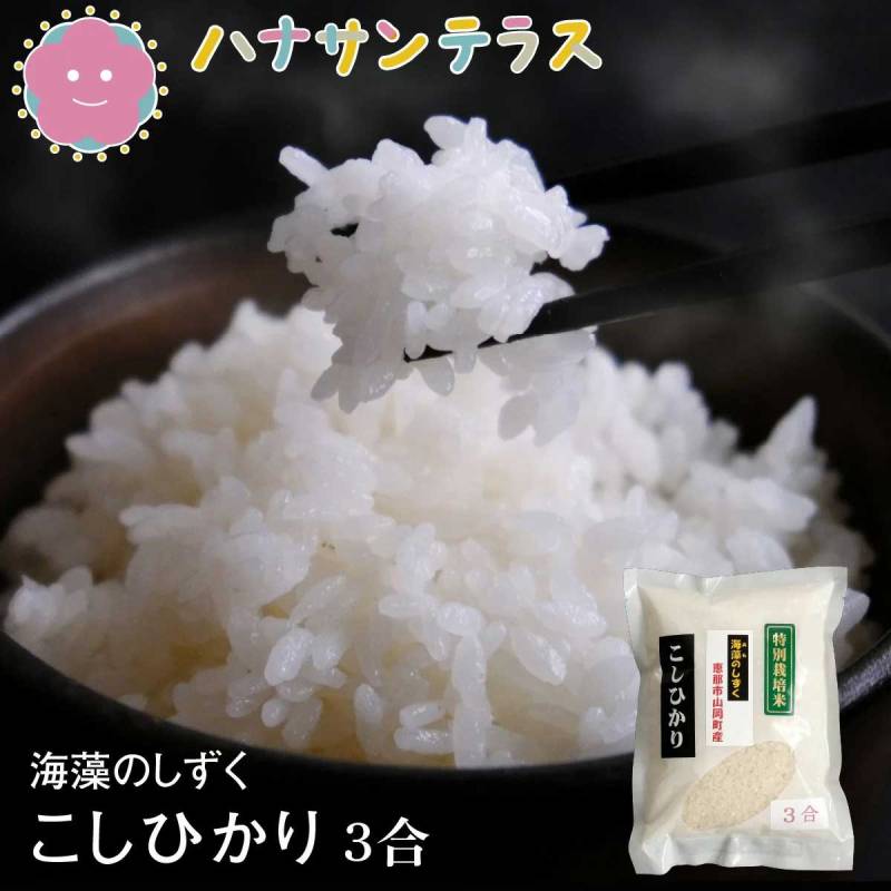 令和7年産 米  450g  こしひかり 特別栽培米 白米 精米 海藻 肥料 海藻のしずく 岐阜県産 少量 お試し ポイント消化  高食味 おいしいお米 送料無料