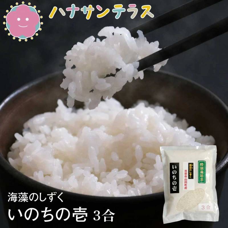 令和7年産 米  450g  いのちの壱 特別栽培米 白米 精米 海藻 肥料 海藻のしずく 岐阜県産 少量 お試し ポイント消化  高食味 おいしいお米 送料無料