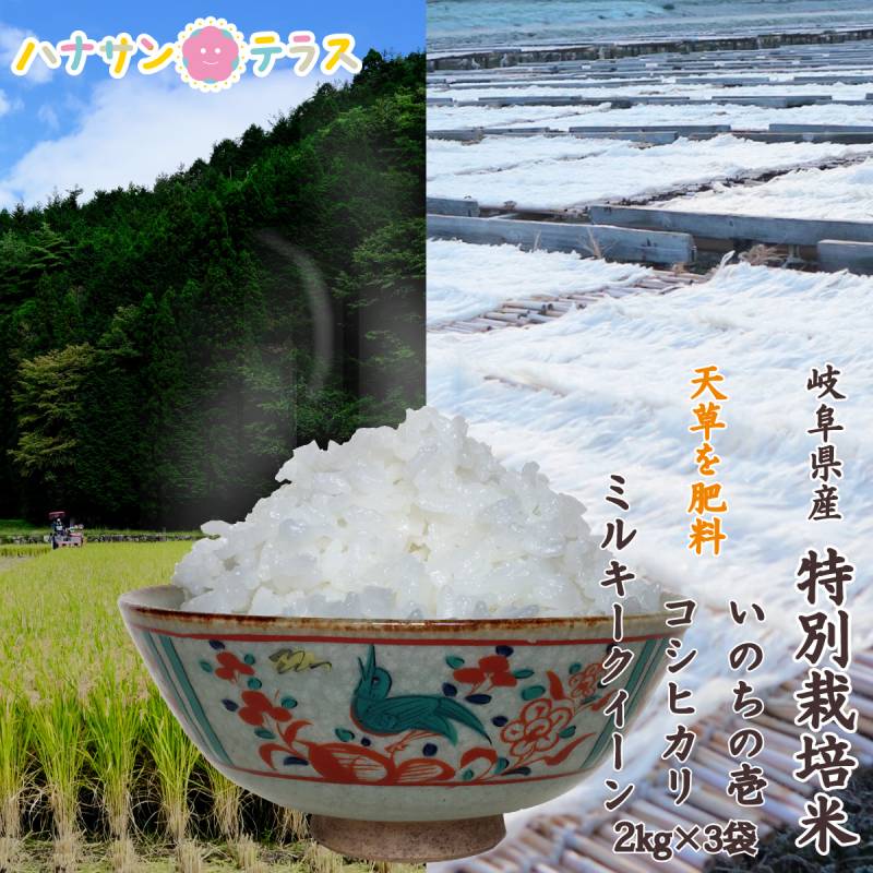 令和7年産 米 2kg 2キロ × 3種類 6kg いのちの壱 コシヒカリ ミルキークイーン 白米 精米 海藻 肥料 海藻のしずく 岐阜県産 少量 お試し 食べ比べ ポイント消化 高食味 おいしいお米 送料無料