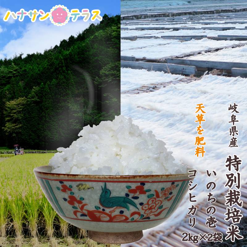 令和7年産 米 2kg 2キロ × 2種類 4kg いのちの壱 コシヒカリ 白米 精米 海藻 肥料 海藻のしずく 岐阜県産 少量 お試し 食べ比べ ポイント消化 高食味 おいしいお米 送料無料