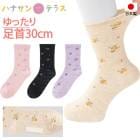    ­ä ̾ν񤱤 å ǥ ؿ  ѷ 뤤 դʤ य ϥӥ Ѱ   ˥ 01850