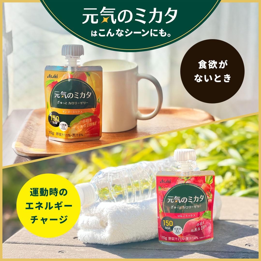 1個増量中】アサヒグループ食品 介護食 元気のミカタ ぎゅっとカロリー