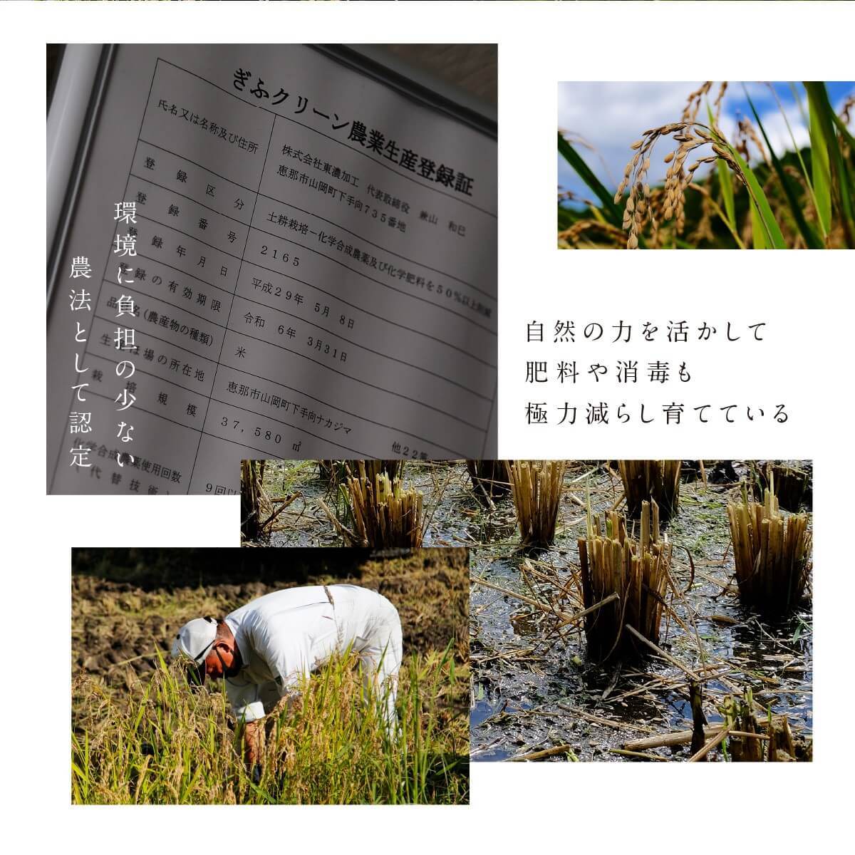 6ǯ  450g3  Τΰ Ҥ ߥ륭 ̺ Τ 츩̵