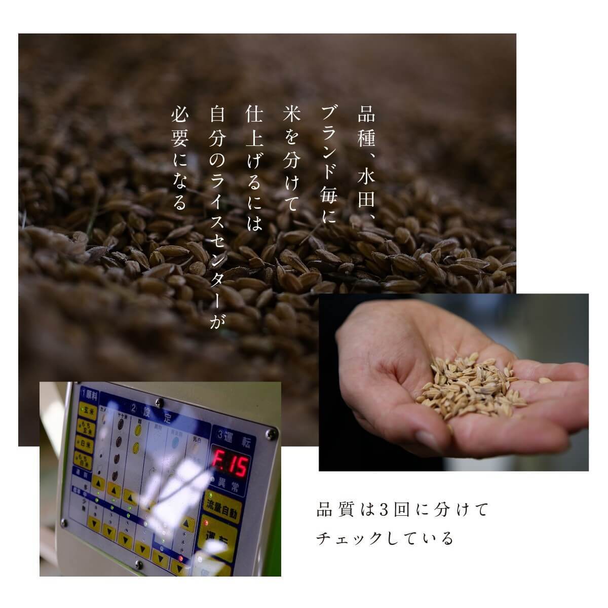 6ǯ  450g3  Τΰ Ҥ ߥ륭 ̺ Τ 츩̵