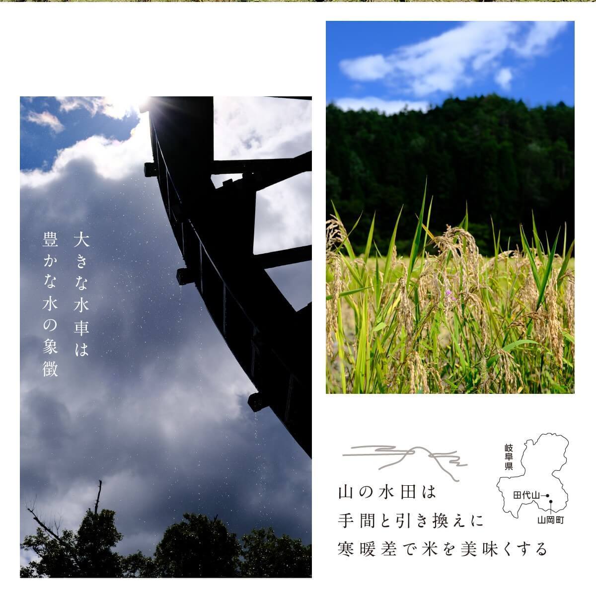 6ǯ  450g3  Τΰ Ҥ ߥ륭 ̺ Τ 츩̵