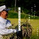 6ǯ  450g3  Τΰ Ҥ ߥ륭 ̺ Τ 츩̵