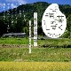6ǯ  450g3  Τΰ Ҥ ߥ륭 ̺ Τ 츩̵