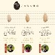 6ǯ  450g3  Τΰ Ҥ ߥ륭 ̺ Τ 츩̵