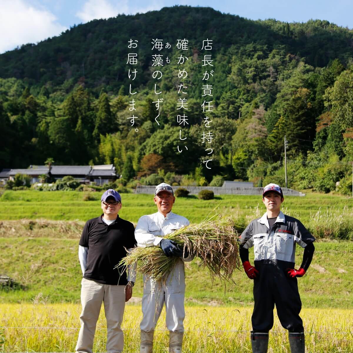 岐阜県産 令和6年産 いのちの壱 中米 訳あり　精米　白米　コシヒカリ 新米】令和6年産 米 2kg いのちの壱 特別栽培米 白米 精米 龍の