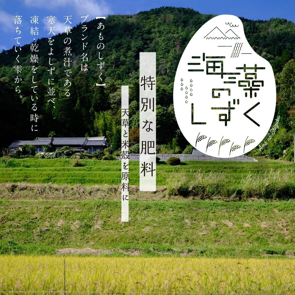 �ڿ��ơ�����7ǯ�� ��  2kg  �ߥ륭���������� ���̺����� ���� ���� ���� ���� �����Τ����� ���츩�� ���� ��� �ݥ���Ⱦò�  �⿩̣ ������������ ����̵��