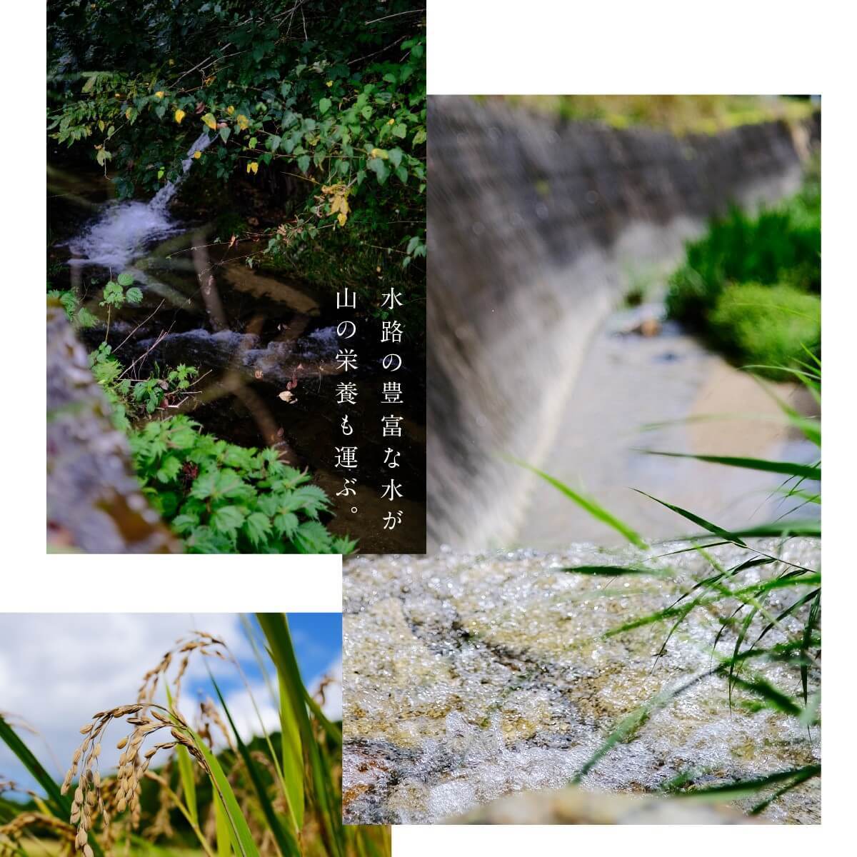 �ڿ��ơ�����7ǯ�� ��  2kg  �ߥ륭���������� ���̺����� ���� ���� ���� ���� �����Τ����� ���츩�� ���� ��� �ݥ���Ⱦò�  �⿩̣ ������������ ����̵��