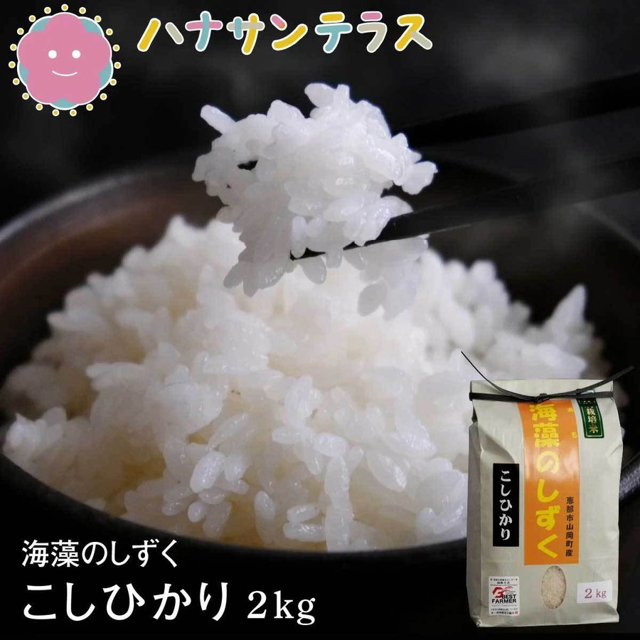 たまご米 24kg 自然農法 岐阜県産 大地飼い自然卵 10個入りパック - 岐阜美濃寺町畑｜無農薬・無