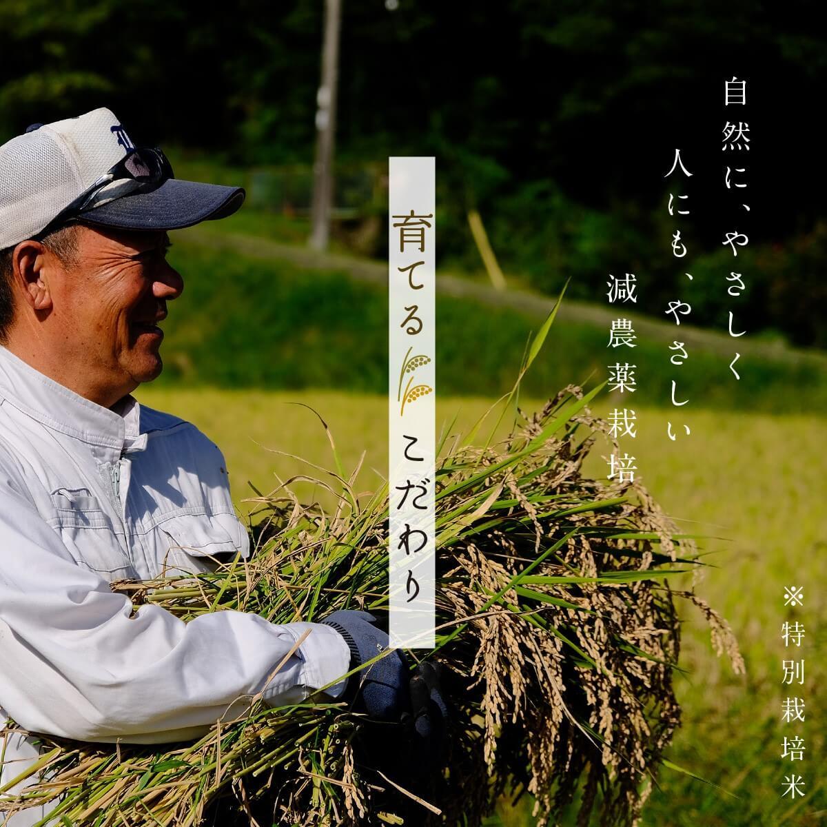 令和7年産 米 2kg こしひかり 特別栽培米 白米 精米 海藻 肥料 海藻の