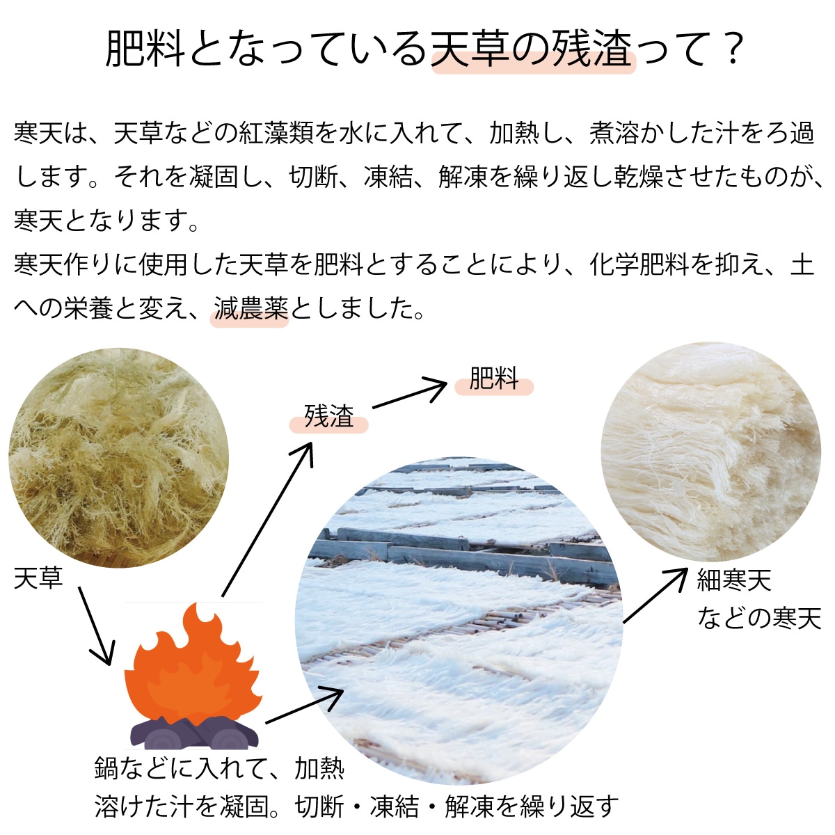 うる！　ミルキークイーンといのちの壱セット 新米】令和6年産 米 2kg 2キロ × 3種類 6kg いのちの壱