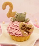 猫用ケーキ 誕生日 乳頭フリー 「 ハッピープリティーウーにゃん 」 ドッグフード 犬 猫 安心・安全 シニア ラクトースフリー 乳糖 フリー 猫 ケーキ アレルギー アレルゲン 人気 おすすめ