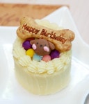 犬 猫 ケーキ 低脂質 豆乳 無添加 「 お肉たんぱくフリーケーキ 」 ドッグフード 誕生日 植物性 たんぱく 野菜 魚 いわし 乳頭 ラクトースフリー シニア お祝い 人気 かわいい おすすめ