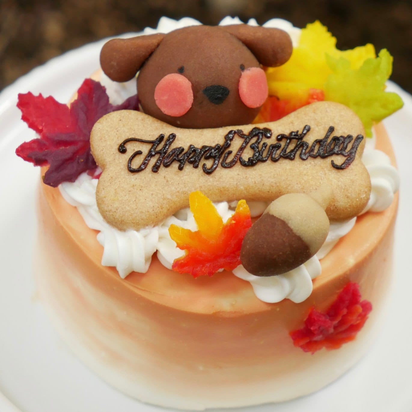 犬 猫 季節のケーキ 無添加 ケーキ ちぃさい秋みぃ～つけた♪ 「 紅葉 いちご ショートケーキ プチサイズ 」 乳糖フリーだから安心・安全 新鮮な生乳100％ 人気 おすすめ 贈答 ギフト プレゼント