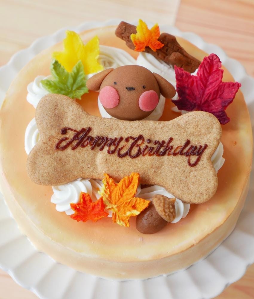 犬 猫用 お誕生日 ケーキ ちぃさい秋みぃ～つけた♪ 「 紅葉 いちご ショートケーキ レギュラーサイズ 」 犬 猫 シニア クリスマス ケーキ 安心・安全なラクトースフリー 乳糖 フリー アレルギー 人気 おすすめ ギフト 贈答 プレゼント お祝い