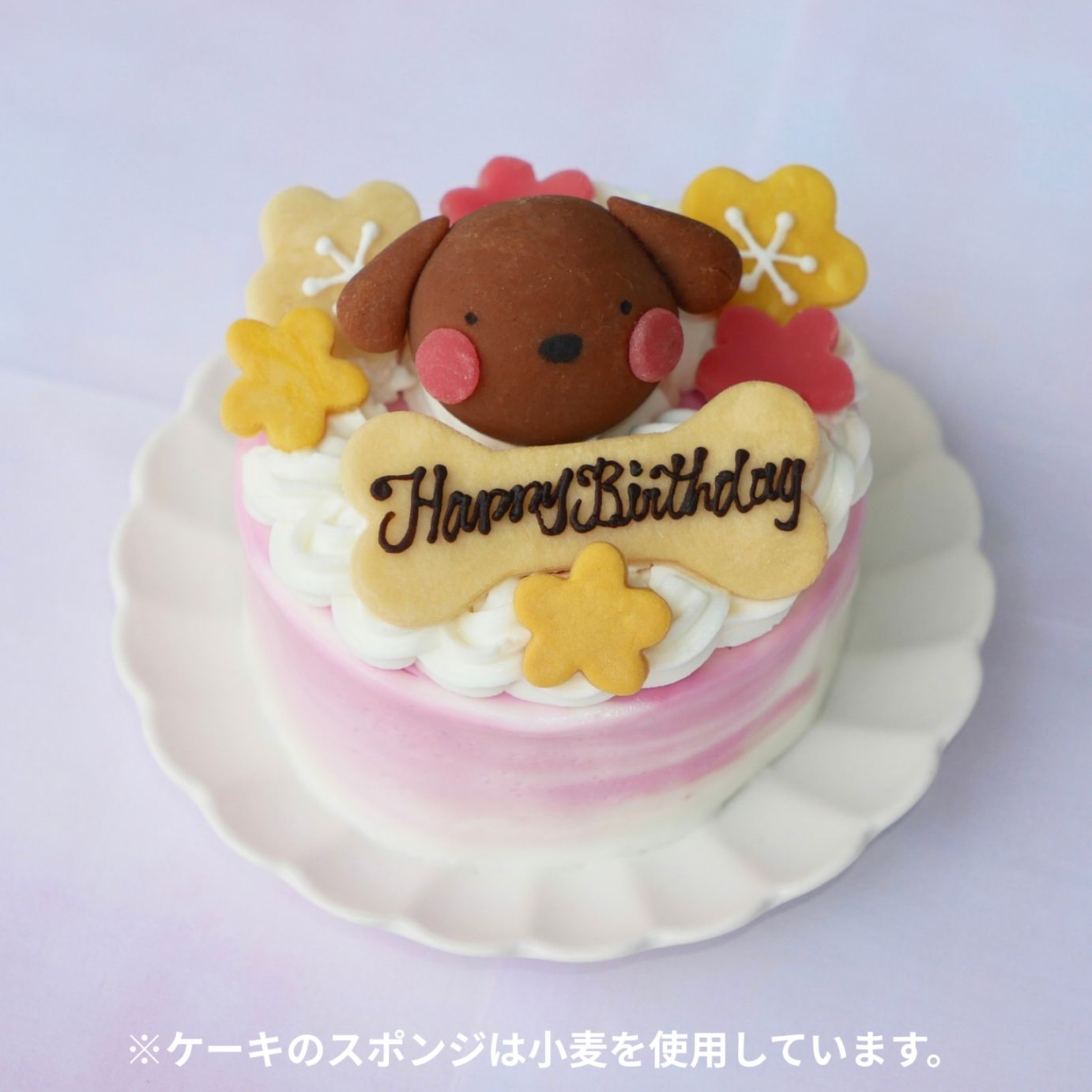 「新！梅の花ショートケーキ 」 無添加 映え 犬 猫 乳糖 ラクトースフリー 安心 安全 梅 人気 おすすめ 映え ギフト プレゼント