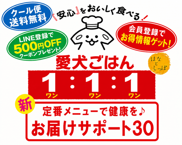 犬 猫 手作りごはん 「 愛犬ごはん1：1：1 お届けサポート30 」 国産 無添加 自然食材100％ 人用材料100％ 獣医師考案 犬用ごはん 健康 手づくりごはん ドックフード ペットフード キャットフード 定期  