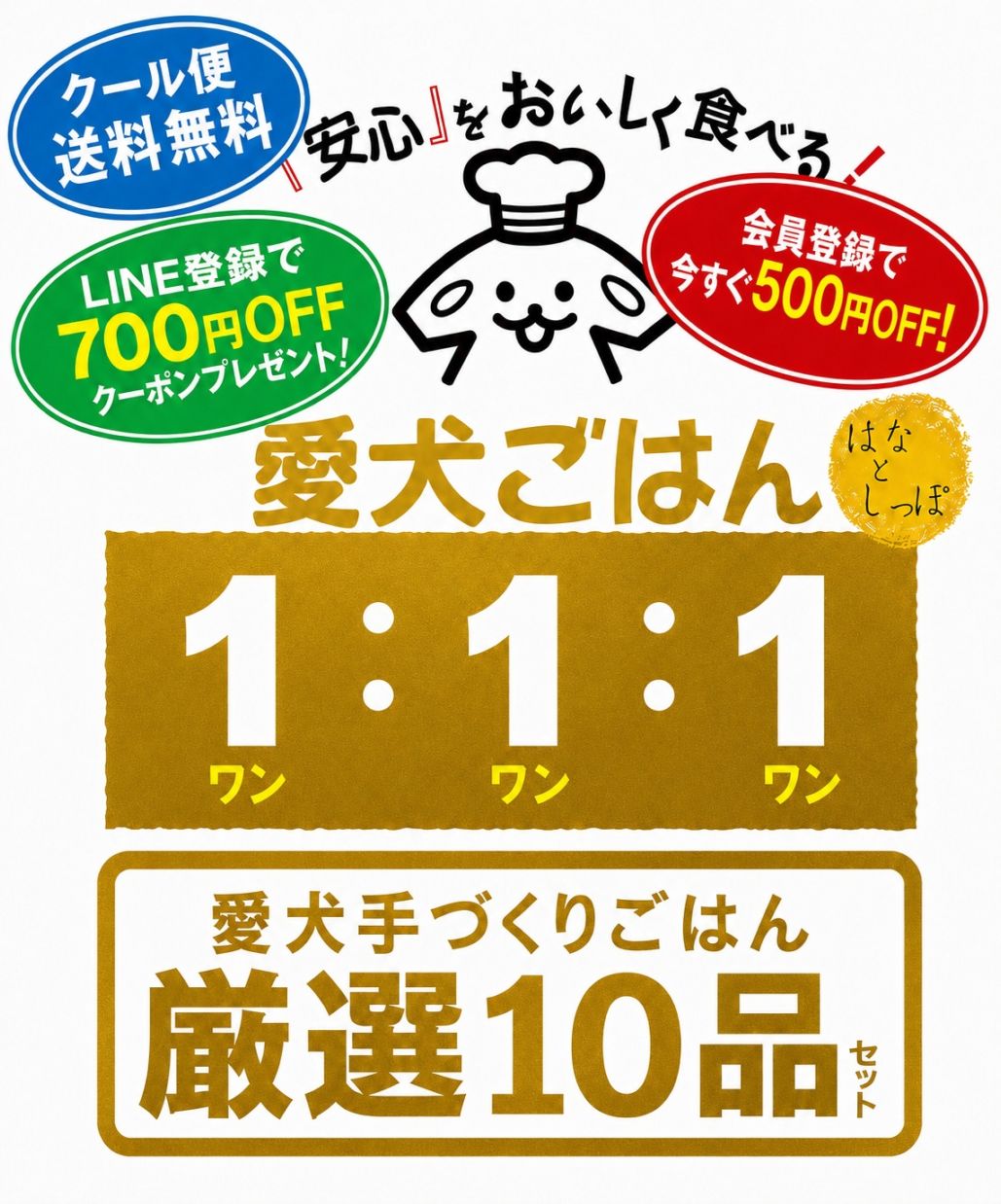 愛犬ごはん１：１：１（ワンワンワン）愛犬手づくりごはん 厳選10品セット 手づくりごはん 国産 無添加 シニア 栄養 バランス 健康 長寿 消化 吸収 胃腸 免疫力 自然食材 ドッグフード キャットフード ペットフード