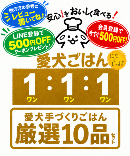 愛犬ごはん１：１：１（ワンワンワン）愛犬手づくりごはん 厳選10品セット 手づくりごはん 国産 無添加 シニア 栄養 バランス 健康 長寿 消化 吸収 胃腸 免疫力 自然食材 ドッグフード キャットフード ペットフード