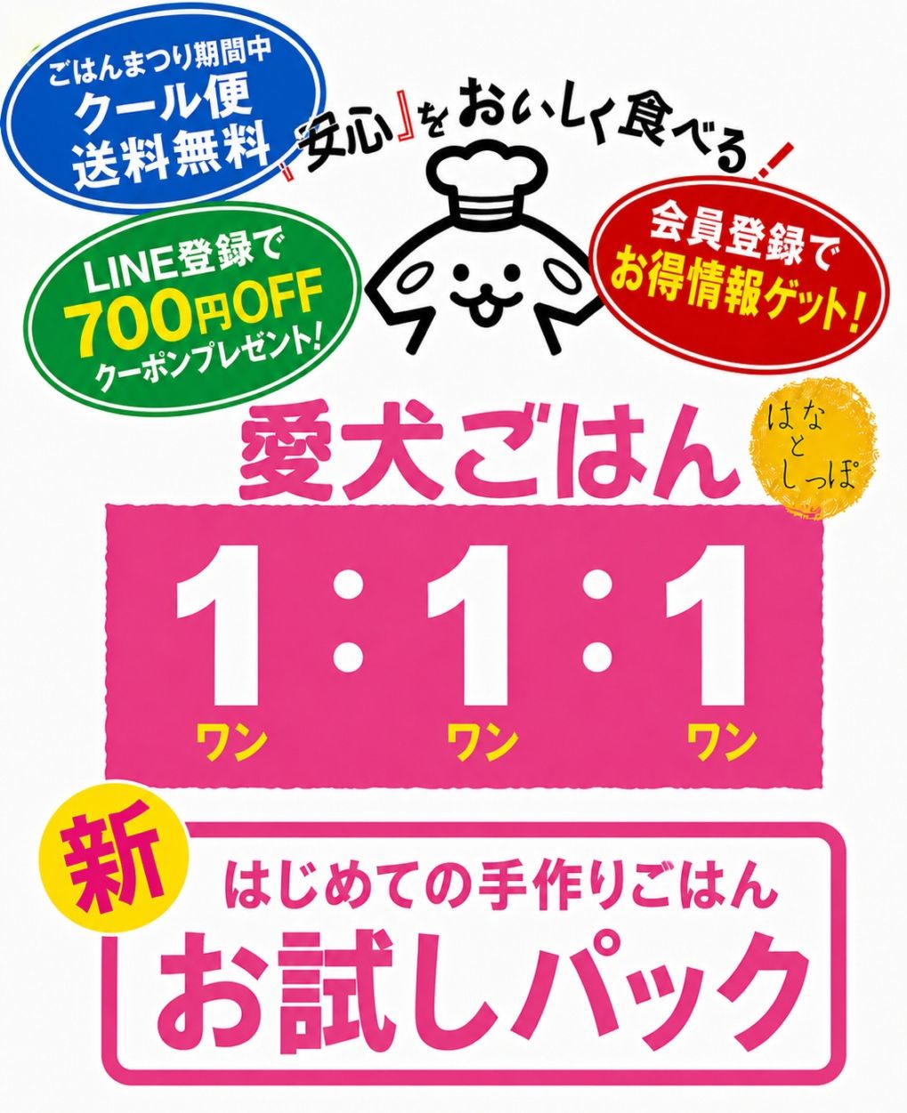 はじめての手作りごはん 「 新お試しパック 3袋セット (愛犬ごはん１：１：１） 」 【初回限定・お一人様1回のみ】 犬 猫 手作り ごはん 国産 無添加 すべて人間用食材 市場 産地 漁港 新鮮仕入れ
