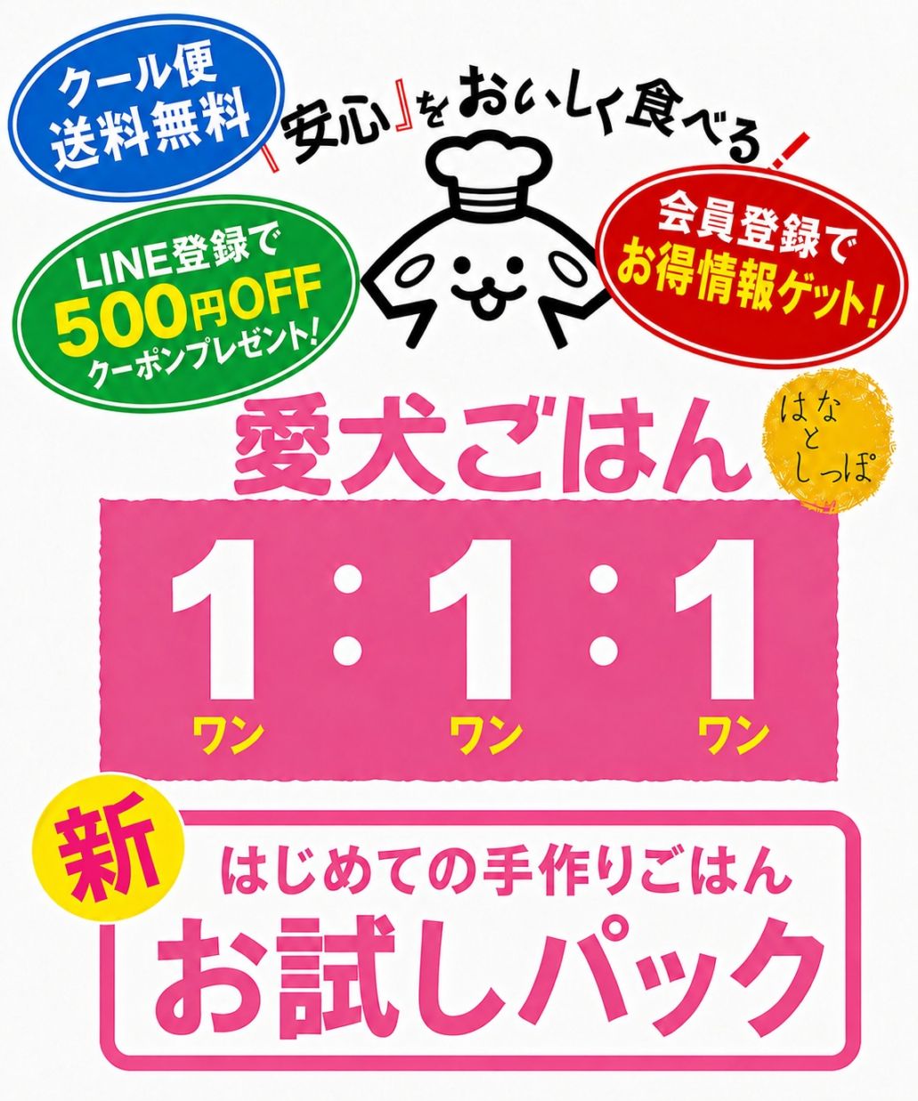 はじめての手作りごはん 「 新お試しパック 3袋セット (愛犬ごはん1:1:1) 」 【初回限定・お一人様1回のみ】 犬 猫 手作り ごはん 国産 無添加 すべて人間用食材 市場 産地 漁港 新鮮仕入れ