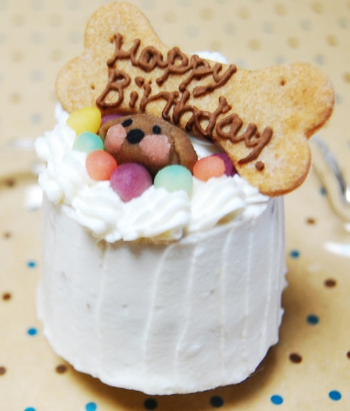 無添加の犬用ケーキ 手作りごはん専門店 はなとしっぽ