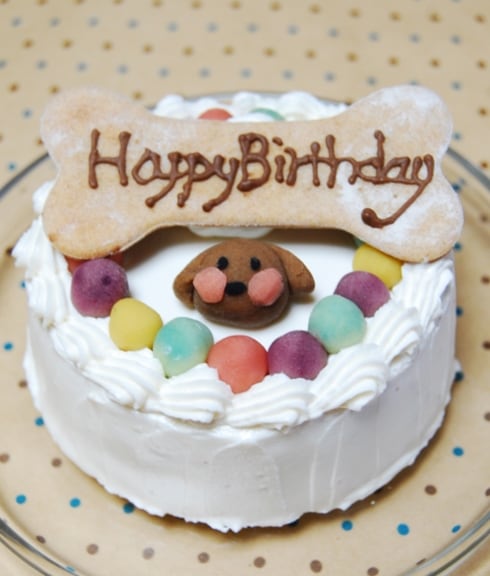 無添加の犬用ケーキ 手作りごはん専門店 はなとしっぽ