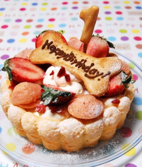 犬用ケーキ 猫 「 ハッピーシャルロット 中・大型犬 」 犬 ドッグフード ケーキ 猫 誕生日 お祝い ギフト 安心 安全 シニア ラクトースフリーグルテンフリー 乳糖 フリー 猫用ケーキ アレルギー 豪華 おすすめ 人気 ギフト