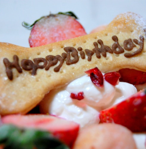 ボーンクッキーにお誕生日や記念日用などのメッセージ、愛犬名をお入れできます。ご希望のメッセージ・愛犬名はご注文時の備考欄にご入力くださいませ。［例：Happy Birthday！ はなちゃん］